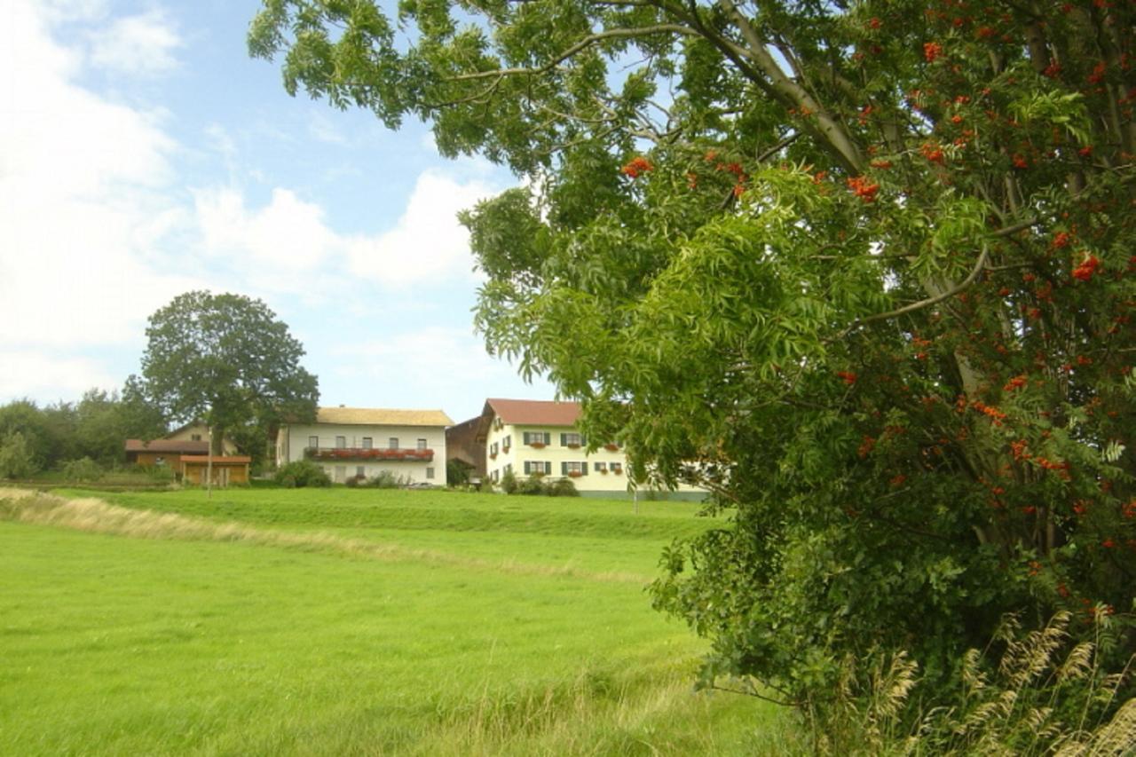 Birkenhof Διαμέρισμα Neukirchen beim Heiligen Blut Εξωτερικό φωτογραφία